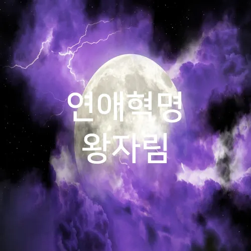 연애혁명 왕자림