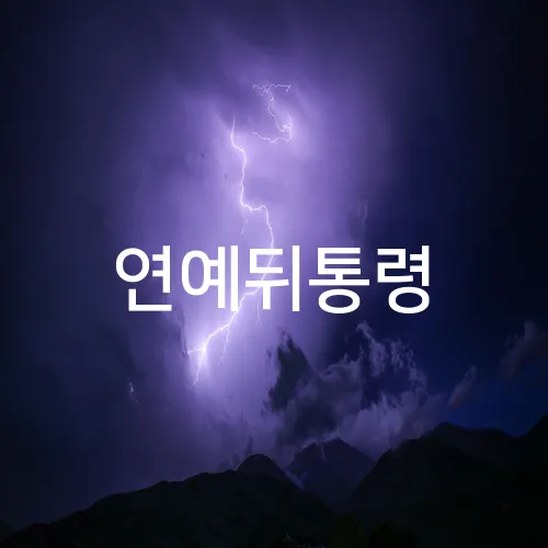 연예뒤통령