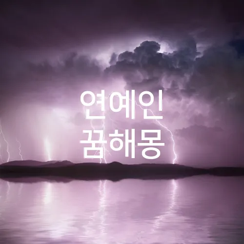 연예인 꿈해몽