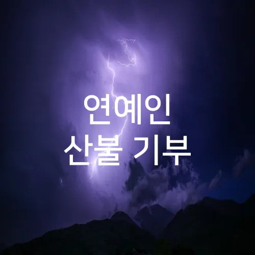 연예인 산불 기부