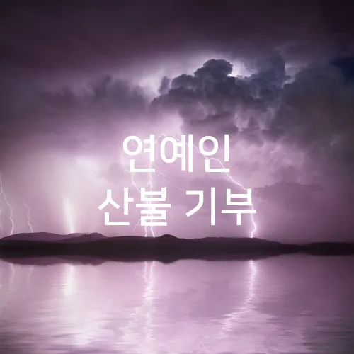 연예인 산불 기부
