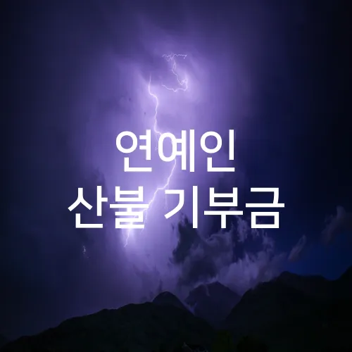 연예인 산불 기부금