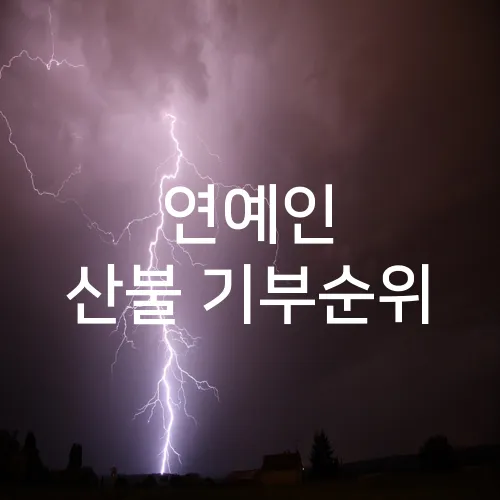 연예인 산불 기부순위
