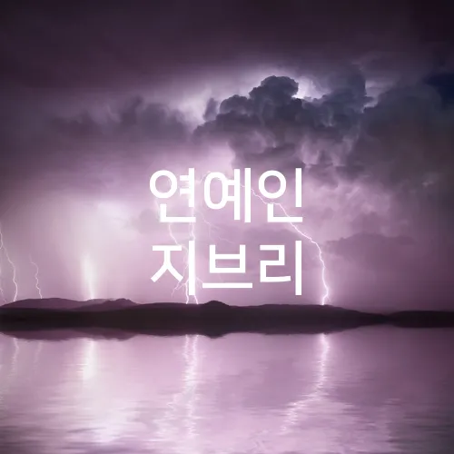 연예인 지브리