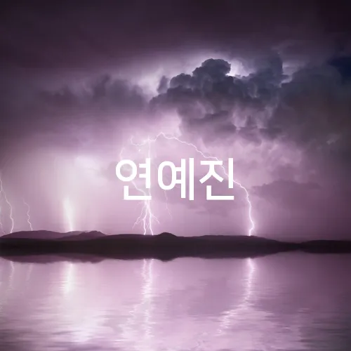 연예진