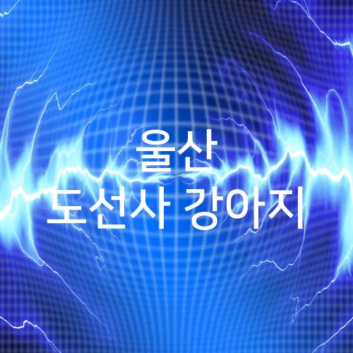 울산 도선사 강아지