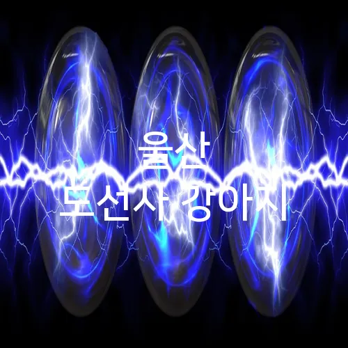 울산 도선사 강아지