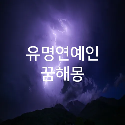 유명연예인 꿈해몽