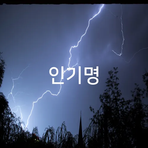 인기명