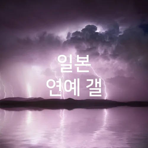 일본 연예 갤