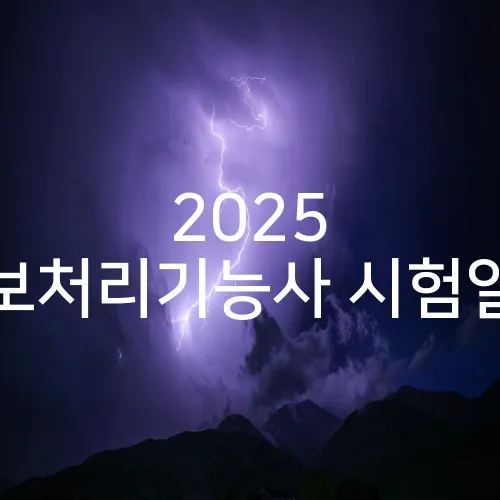 2025 정보처리기능사 시험일정