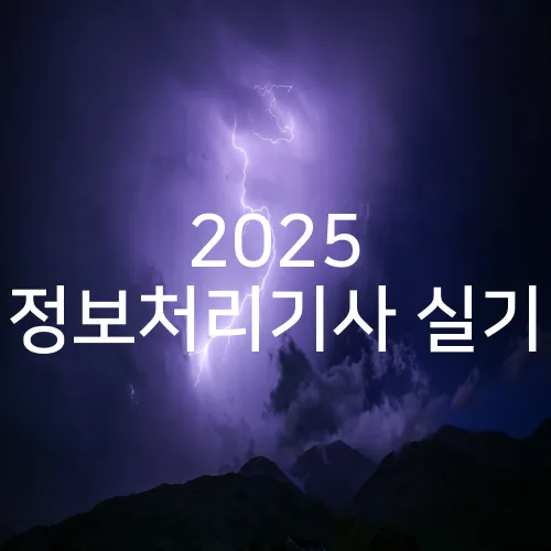 2025 정보처리기사 실기