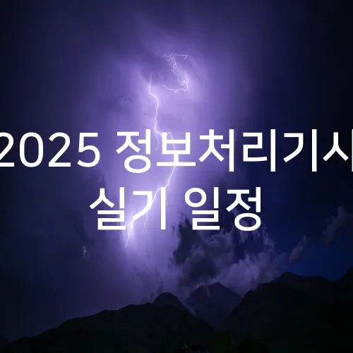 2025 정보처리기사 실기 일정