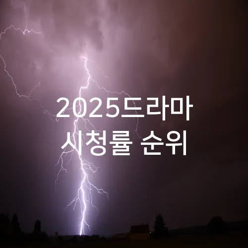 2025드라마 시청률 순위