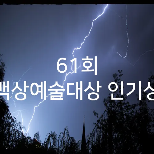 61회 백상예술대상 인기상