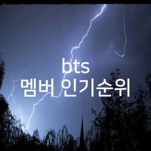 bts 멤버 인기순위