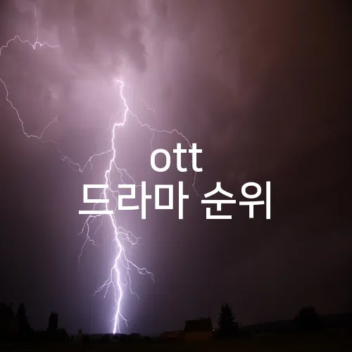 ott 드라마 순위