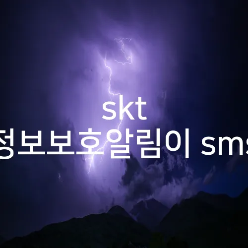 skt 정보보호알림이 sms