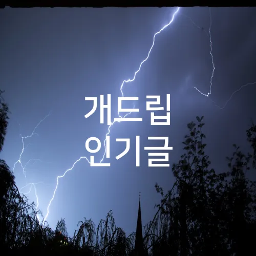 개드립 인기글