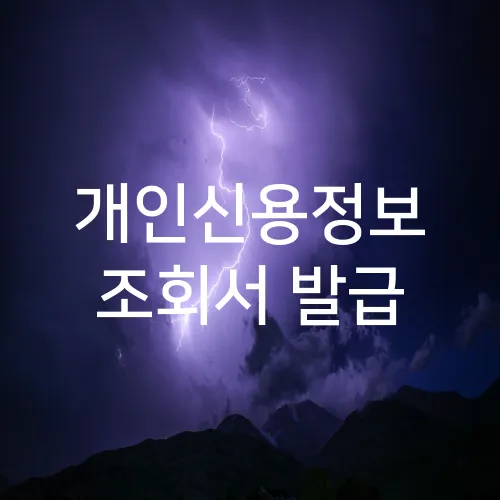 개인신용정보 조회서 발급