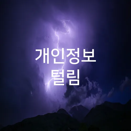 개인정보 털림