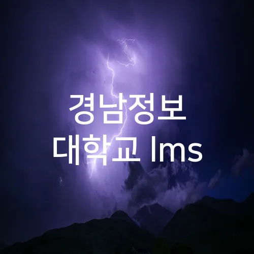 경남정보 대학교 lms