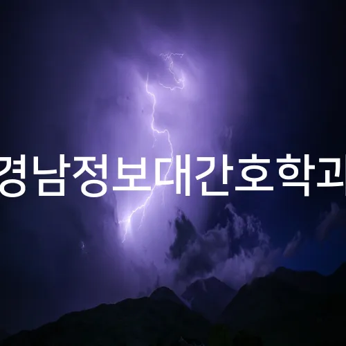 경남정보대간호학과