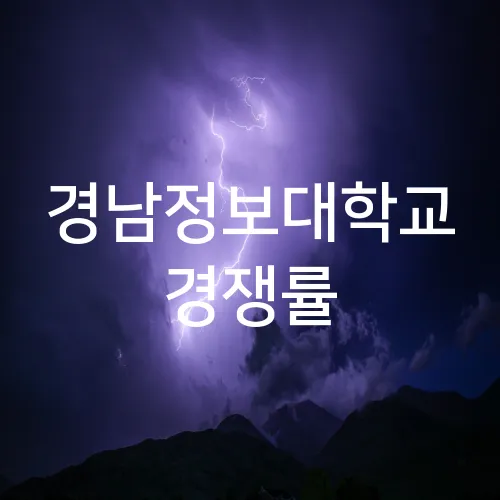 경남정보대학교 경쟁률
