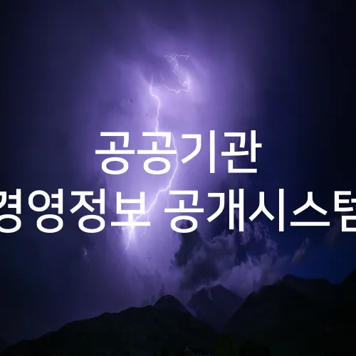 공공기관 경영정보 공개시스템