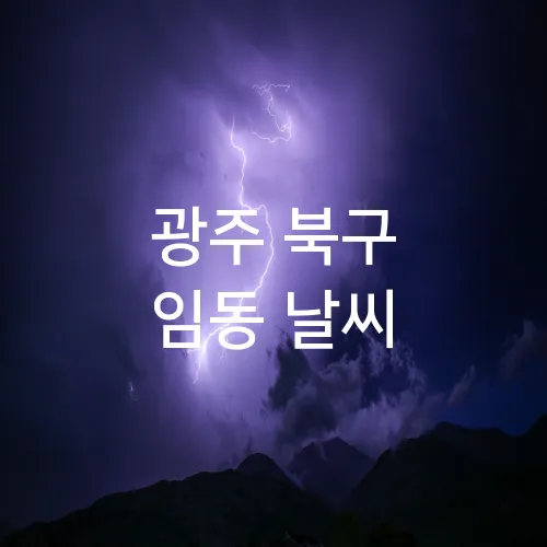 광주 북구 임동 날씨