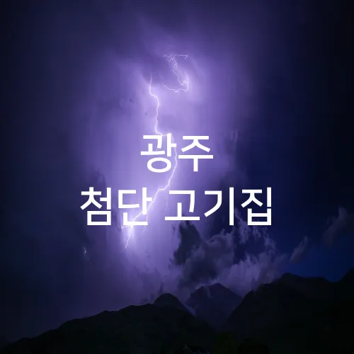 광주 첨단 고기집