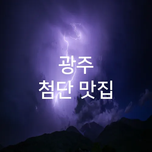 광주 첨단 맛집