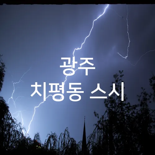 광주 치평동 스시