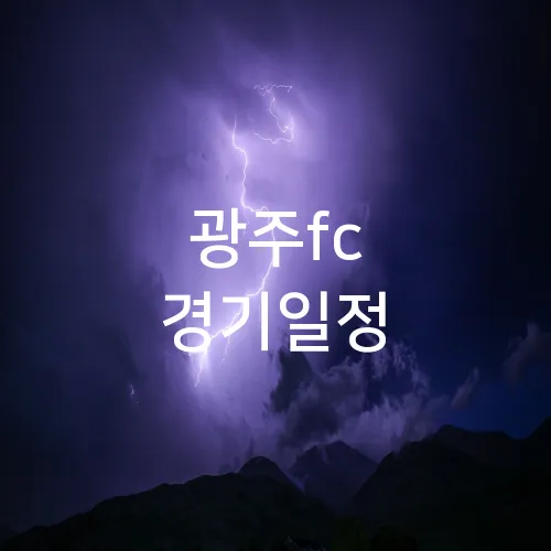 광주fc 경기일정