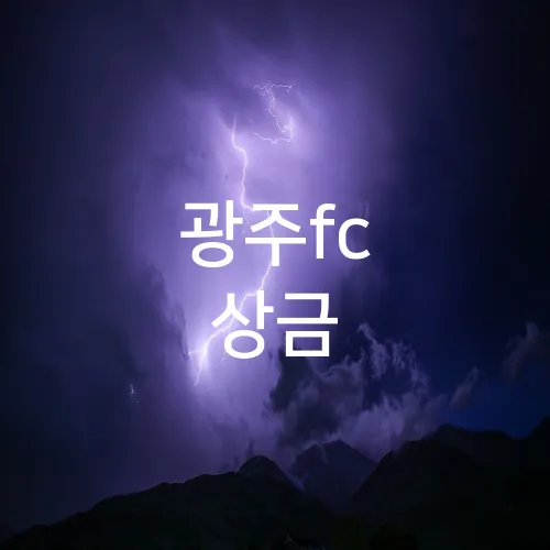 광주fc 상금