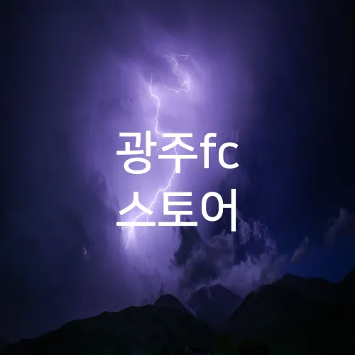 광주fc 스토어
