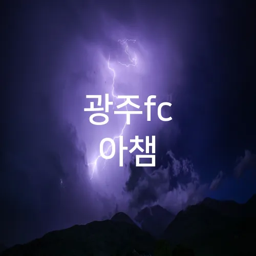 광주fc 아챔