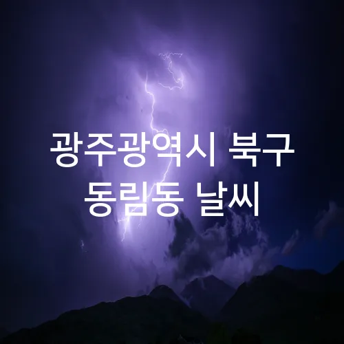 광주광역시 북구 동림동 날씨