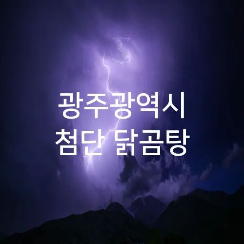 광주광역시 첨단 닭곰탕