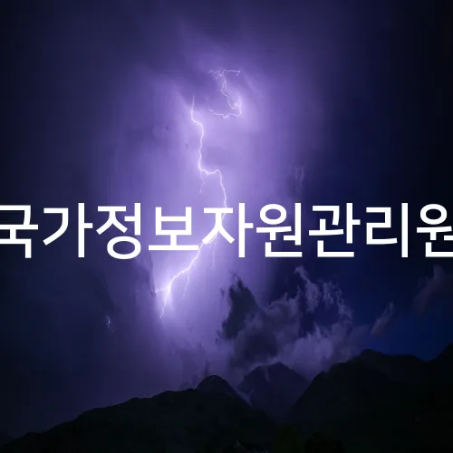 국가정보자원관리원