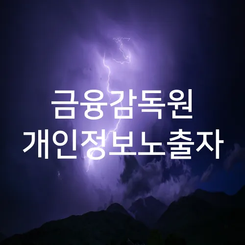 금융감독원 개인정보노출자