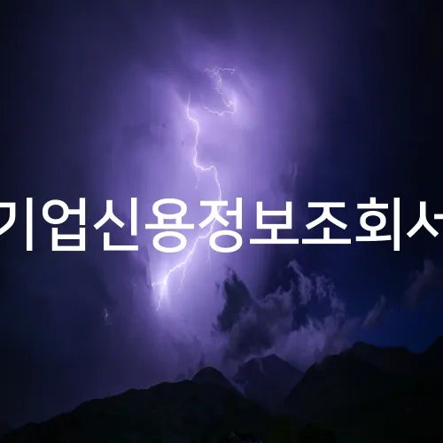 기업신용정보조회서