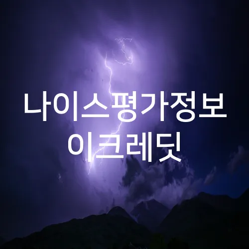 나이스평가정보 이크레딧