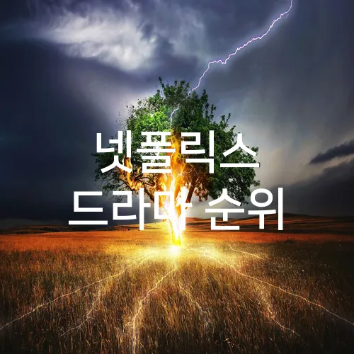 넷플릭스 드라마 순위