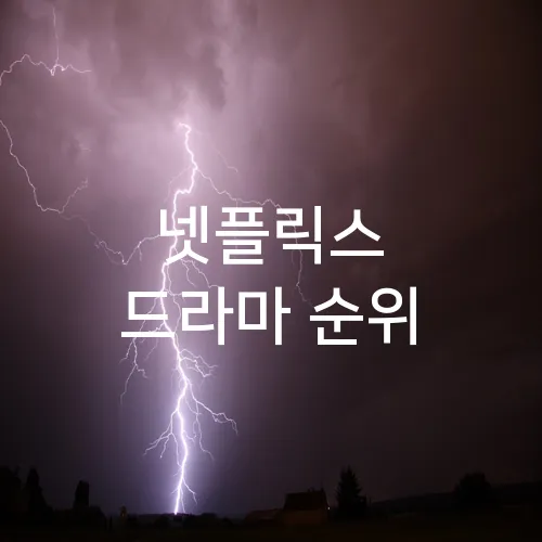 넷플릭스 드라마 순위