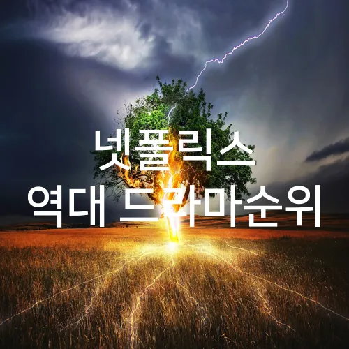 넷플릭스 역대 드라마순위