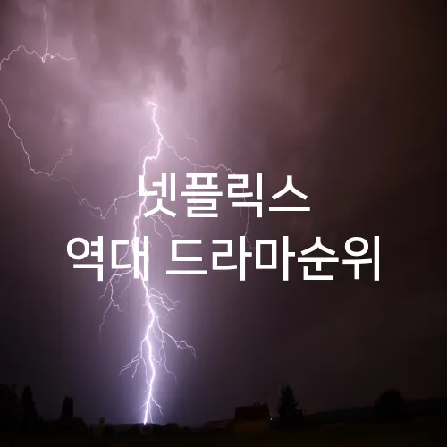 넷플릭스 역대 드라마순위