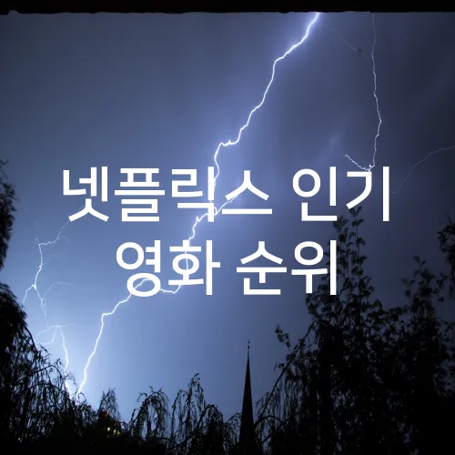 넷플릭스 인기 영화 순위