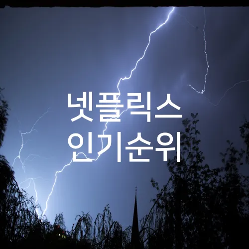 넷플릭스 인기순위