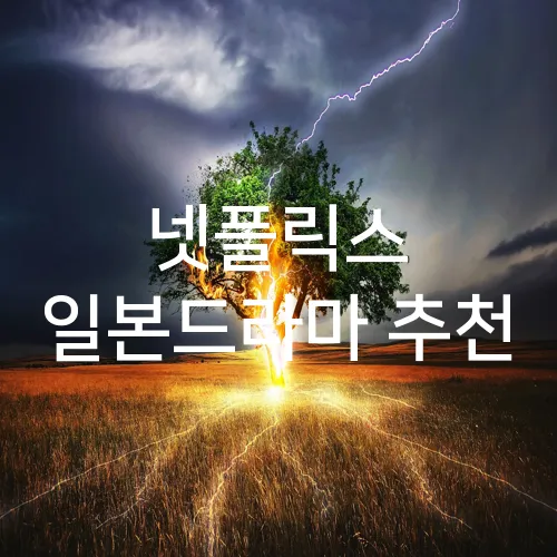 넷플릭스 일본드라마 추천